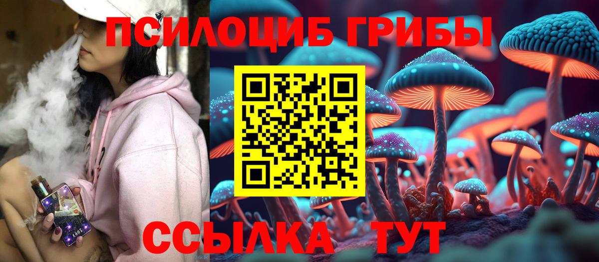 Псилоцибиновые грибы Cubensis Уварово